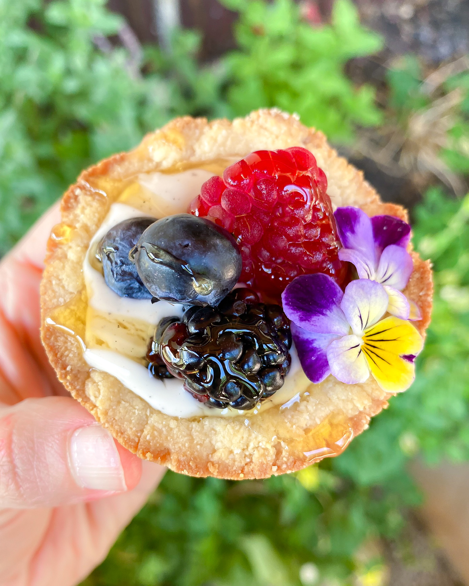 grain-free honeyed cardamom berry tartlet close up