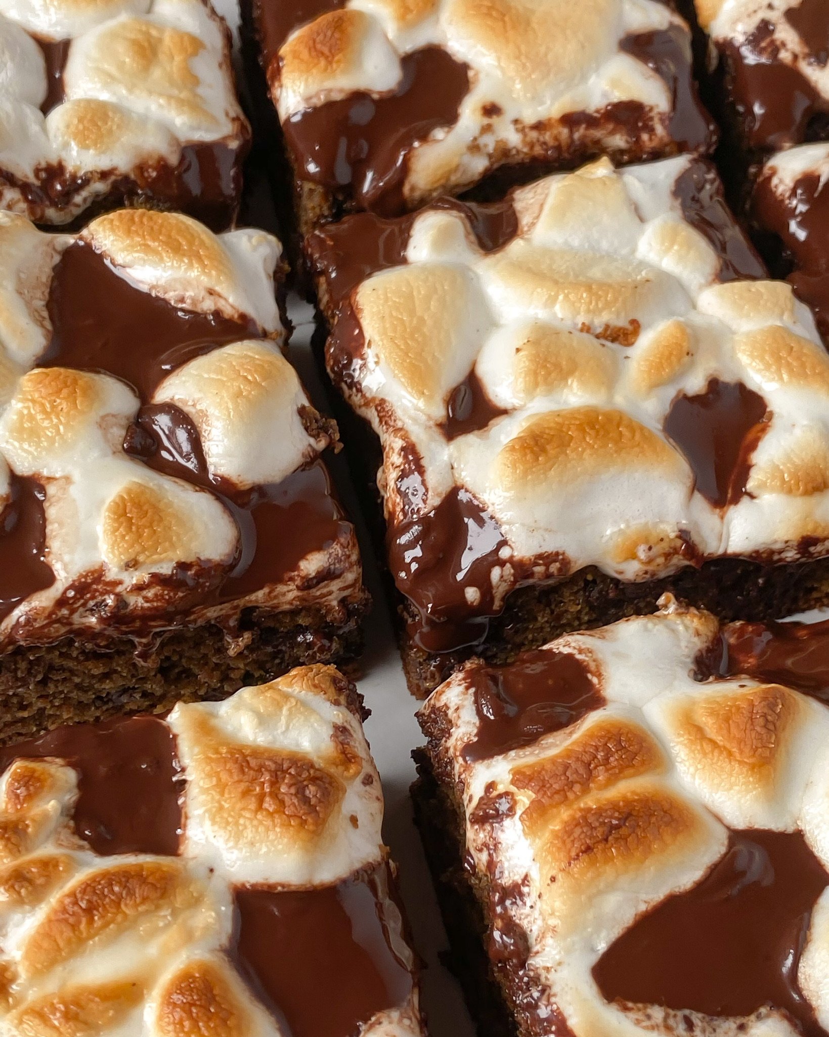 zoomed in close up of grain-free s'mores blondies