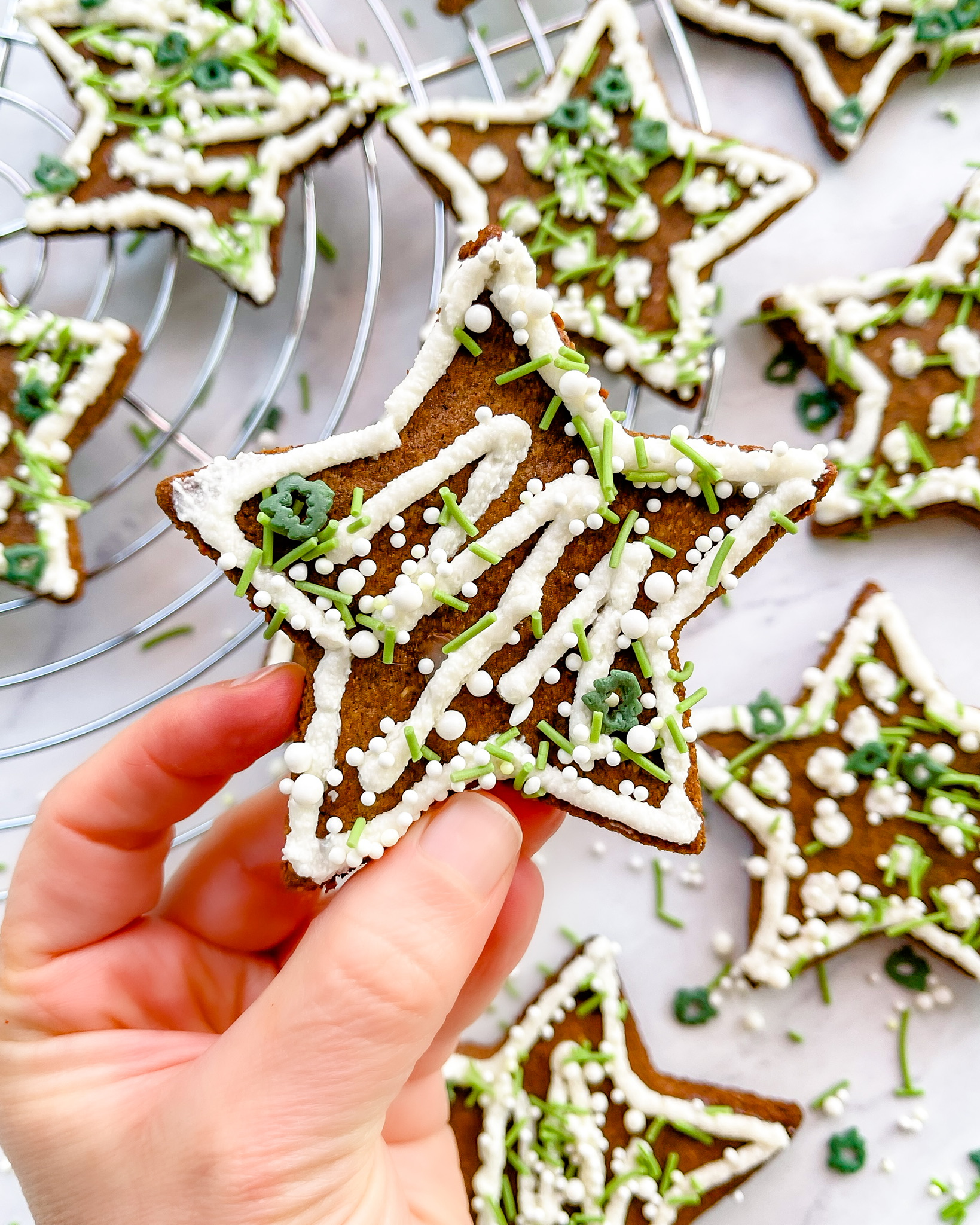 healthy holiday gingerbread cookies up close