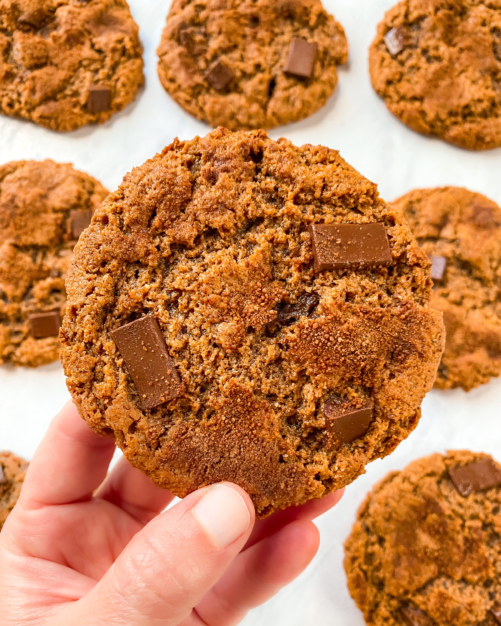 Pumpkin Cinnamon Swirl Cookies with Chocolate Chunks (Vegan)