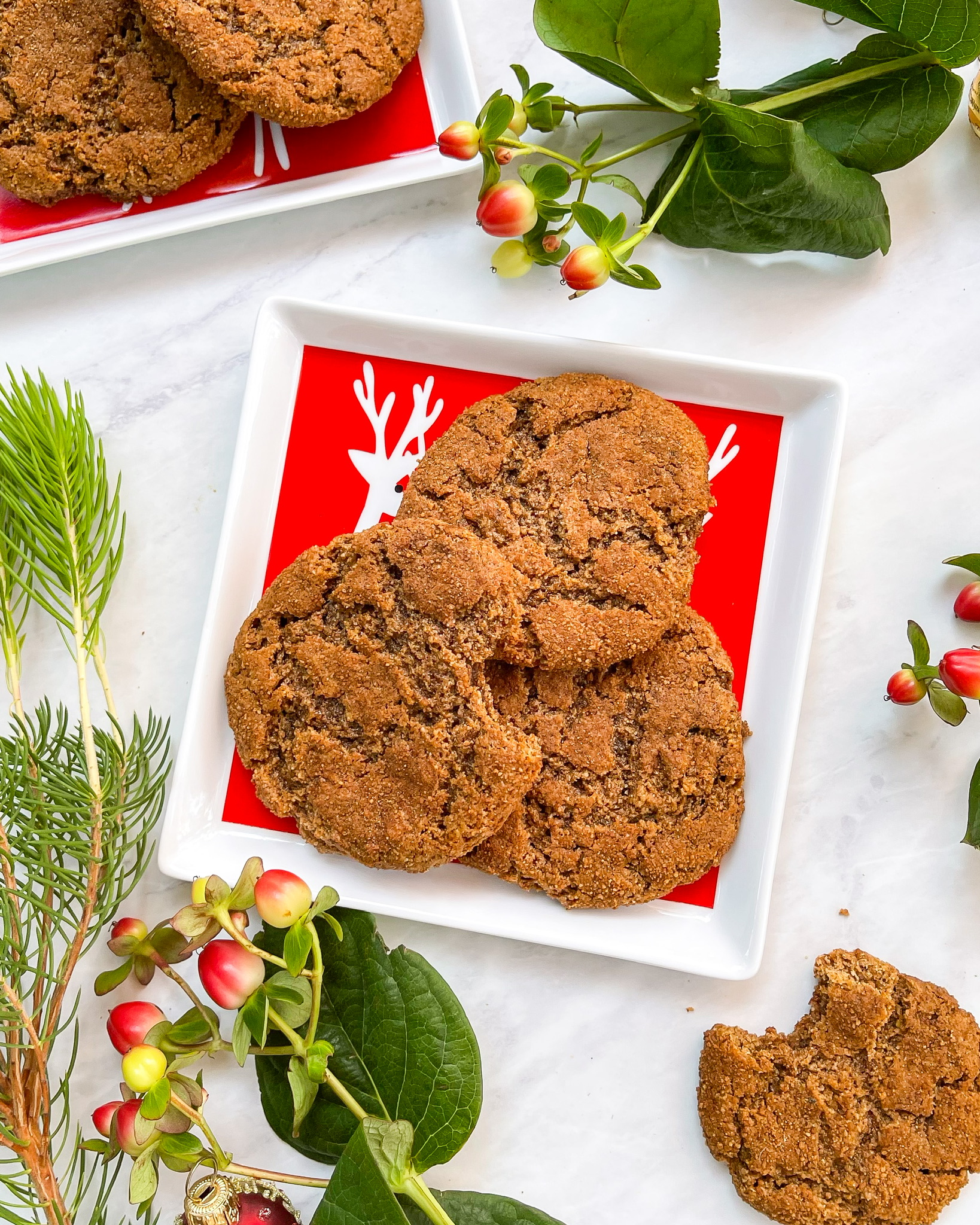 Winter Spice Snickerdoodles (Grain Free, Vegan)