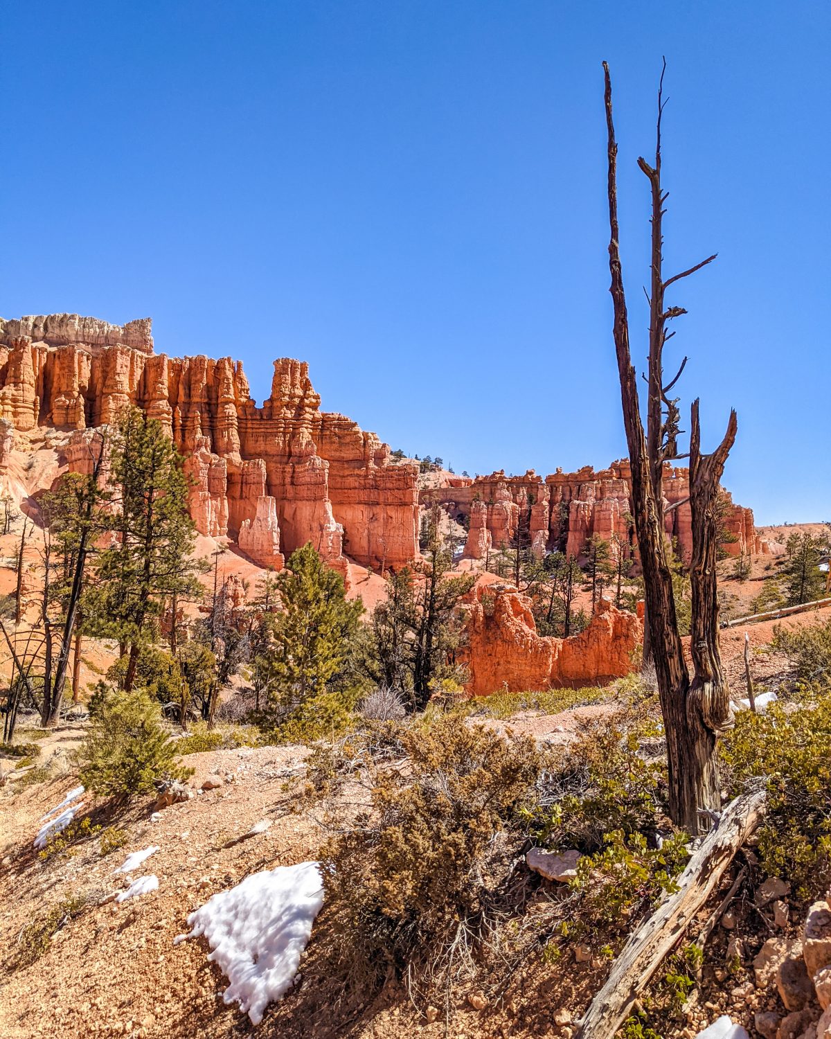 St. George Travel Guide  - Bryce, Fairyland Loop Trail