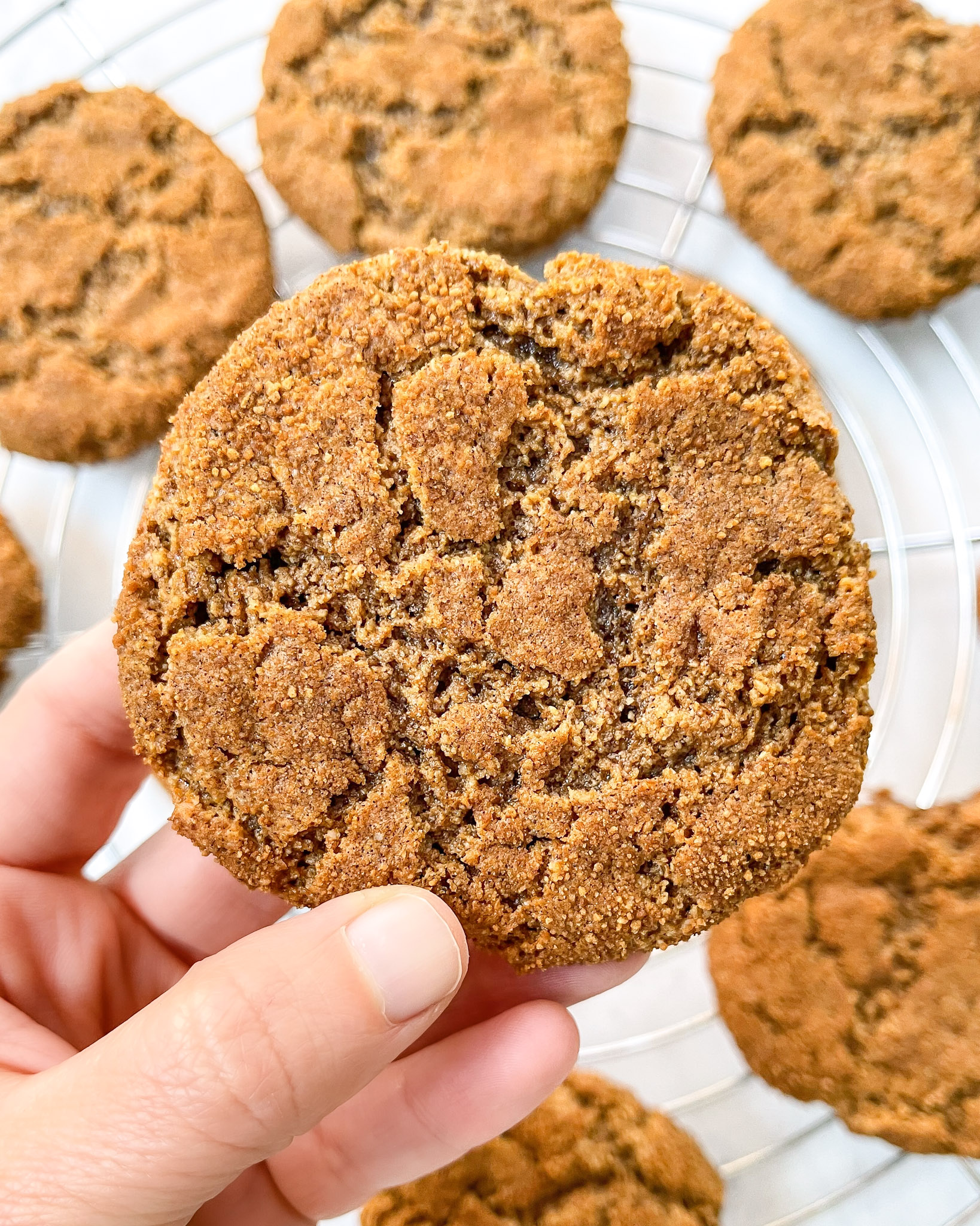 winter spice snickerdoodles 