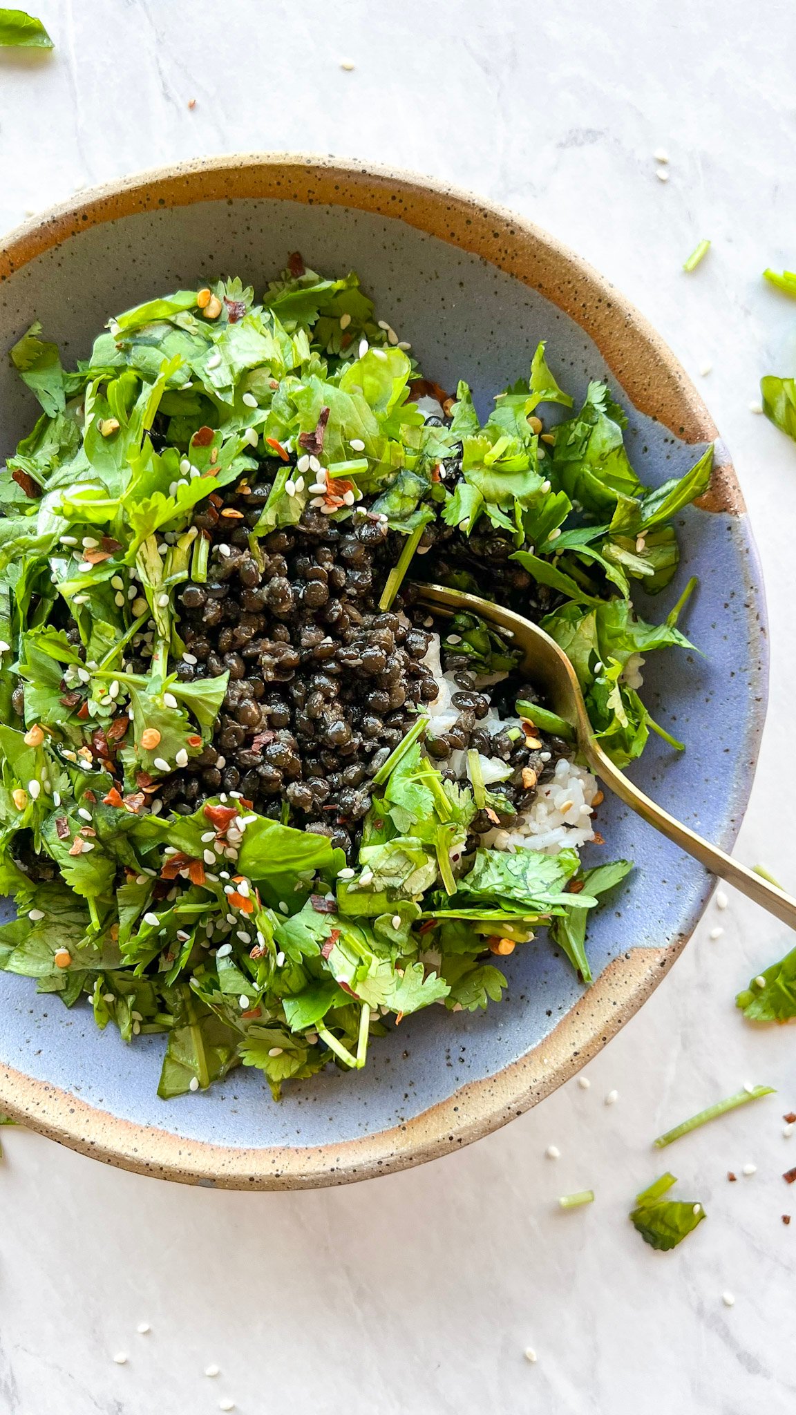 larb-inspired tamari-spiced black lentils with herbs