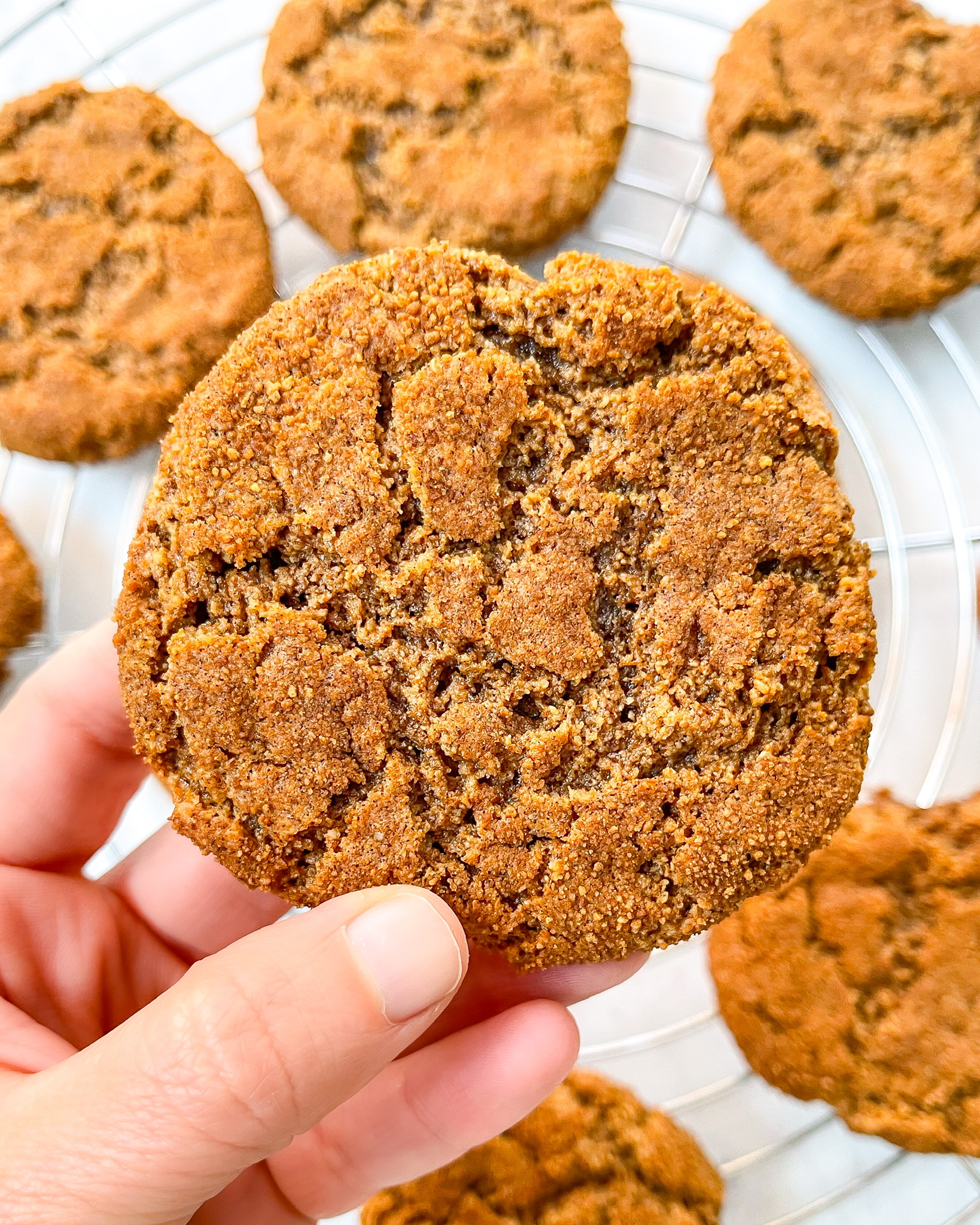 healthy snickerdoodle cookies