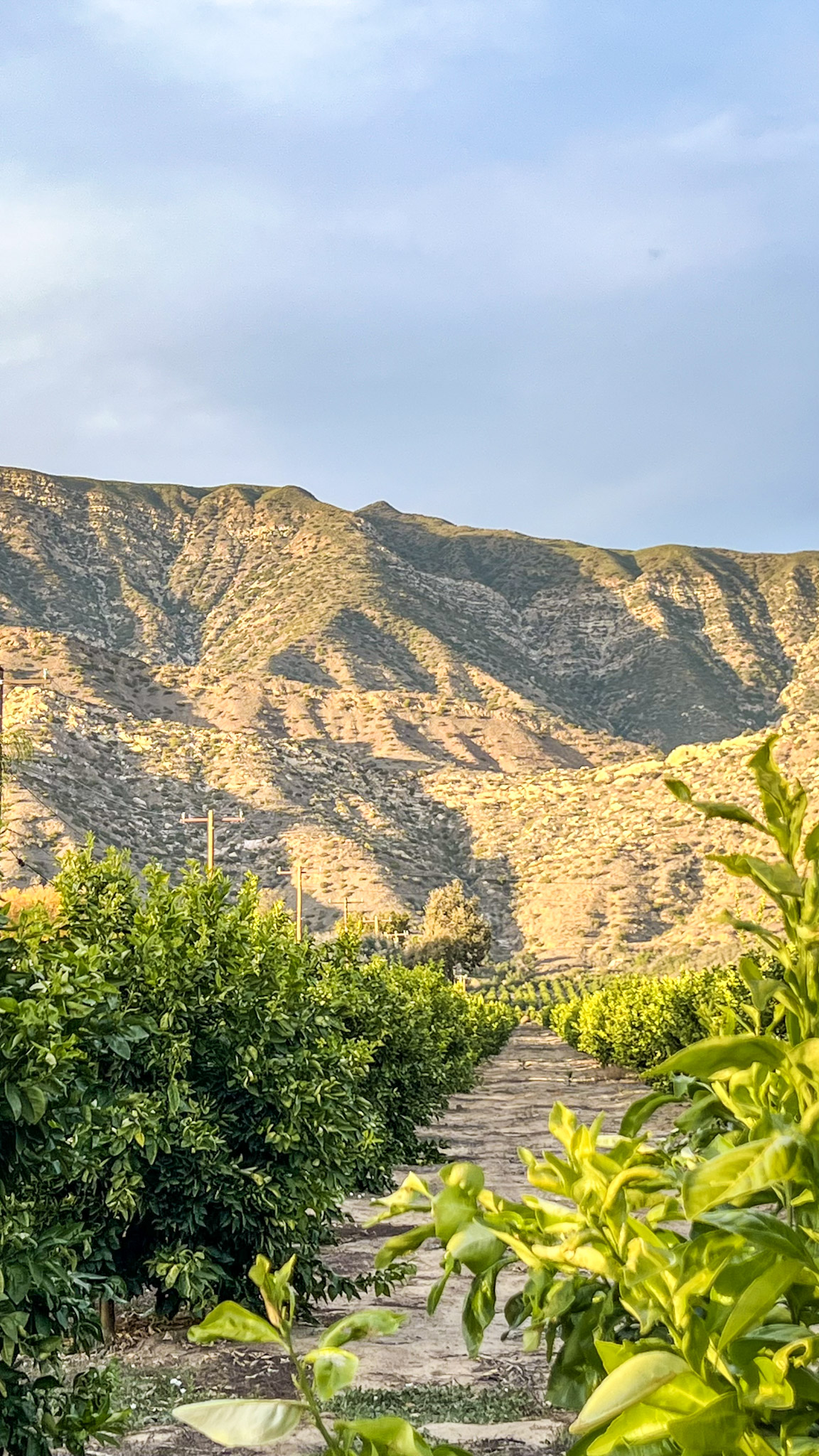 ojai valley inn