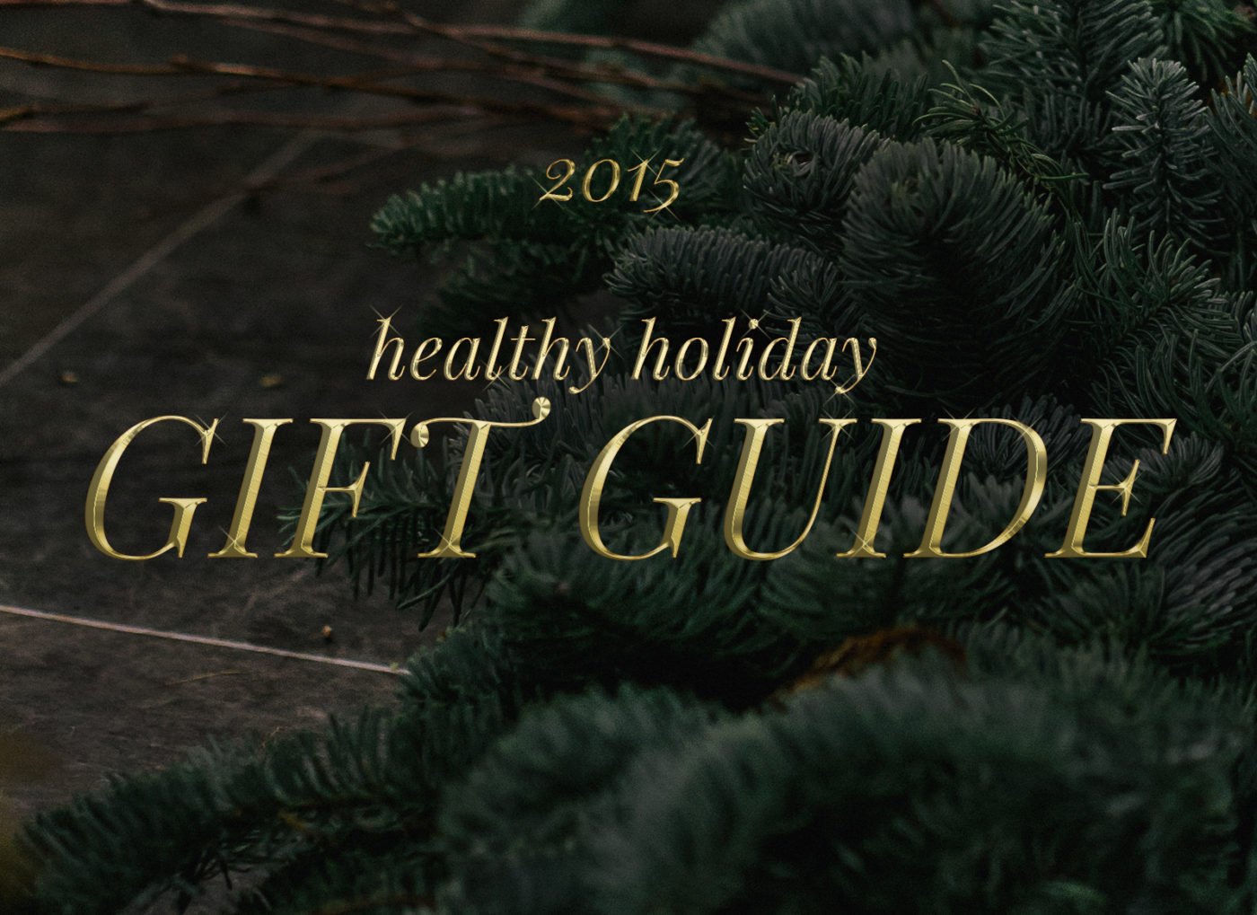 Healthy Holiday Gift Guide 2015